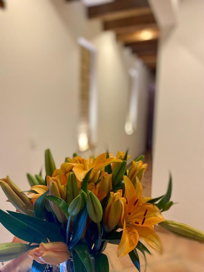 Hotel Alandalus Villa de Leyva Ngoại thất bức ảnh